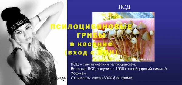 метамфетамин Белокуриха