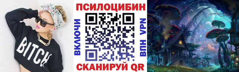купить цена Гудермес сайты даркнета состав Псилоцибиновые грибы GOLDEN TEACHER
