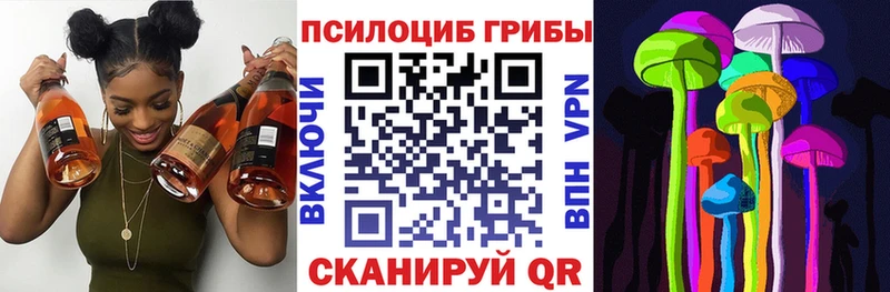 Псилоцибиновые грибы GOLDEN TEACHER Гудермес