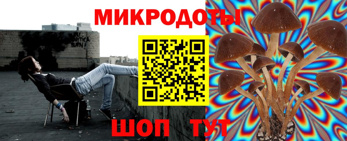 Галлюциногенные грибы Psilocybe  Вход с VPN  Гудермес 
